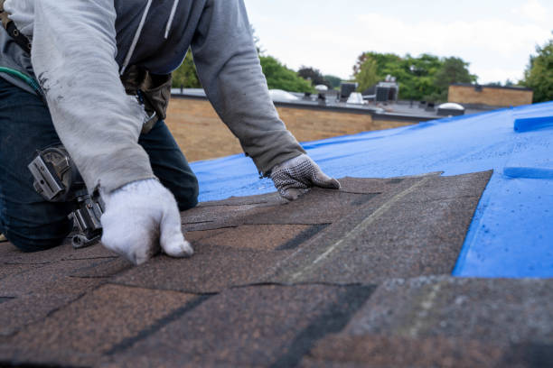 Best Flat Roof Repair Services  in Weldon, NC